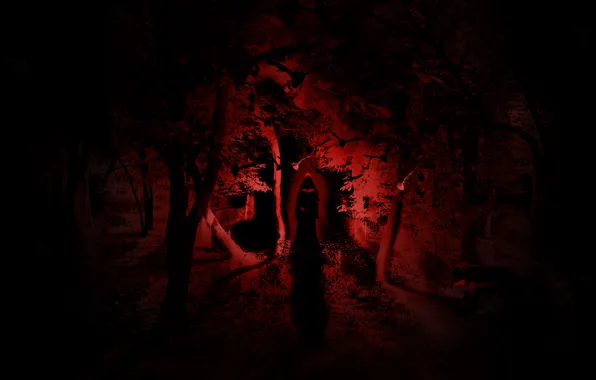 Картинка лес, свет, ночь, ужас, ведьма
