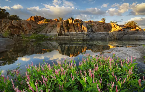 Картинка облака, цветы, озеро, отражение, скалы, Аризона, США, Arizona, Prescott, Watson lake