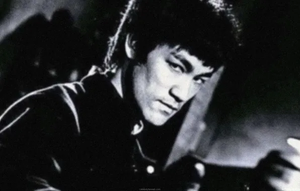 Картинка Legend, Bruce Lee, Master, Fighter