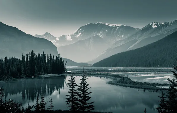 Картинка лес, деревья, горы, озеро, скалы, Канада, Альберта, Banff National Park, Банф
