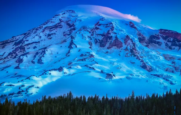 Картинка USA, United States, trees, mountain, snow, sunrise, Washington, Seattle, Mount Rainier, United States of America, …