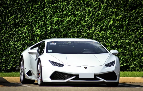 Картинка Lamborghini, white, 2014, Huracan, LP610