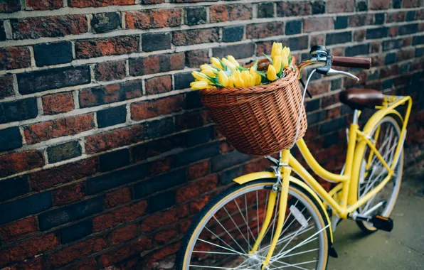 Картинка цветы, велосипед, тюльпаны