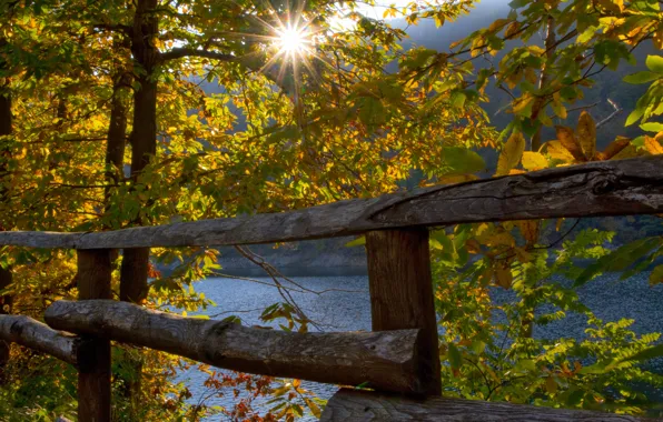 Картинка осень, деревья, озеро, забор, Италия, Italy, Лигурия, Liguria, Lago di Osiglia, Lake Osiglia, Озеро Озилья