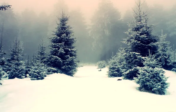 Картинка зима, природа, лес сугробы кругом