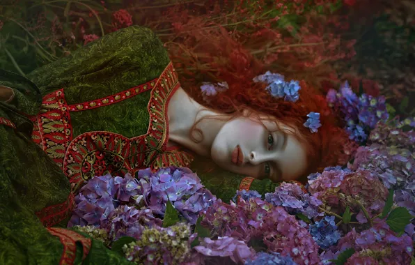 Картинка лето, девушка, цветы, природа, платье, рыжая, гортензия, Agnieszka Lorek