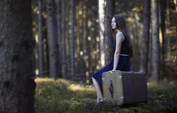 Картинка лес, девушка, чемодан