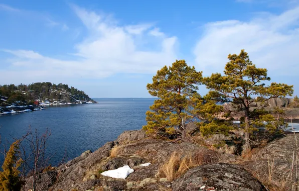 Картинка море, небо, облака, деревья, скала, Швеция