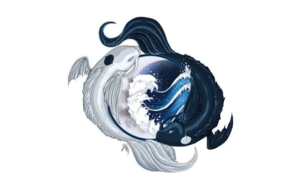 Картинка вода, рыба, Avatar, Аватар, инь-янь, The Legend of Korra, Аватар: Легенда о Корре