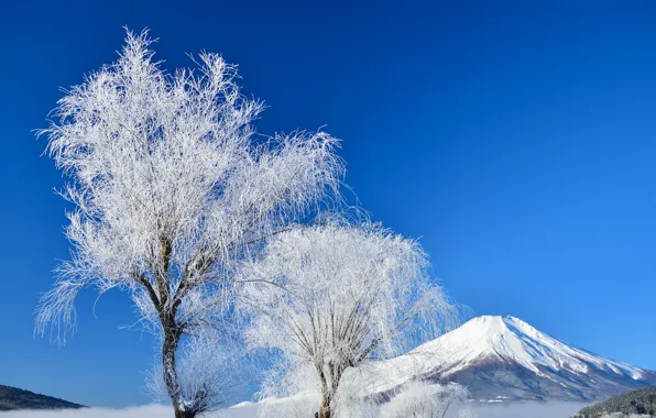 Картинка зима, небо, снег, деревья, Япония, гора Фудзияма