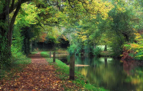 Картинка осень, парк, канал, Великобритания, листопад, Уэльс, Wales, Llanover