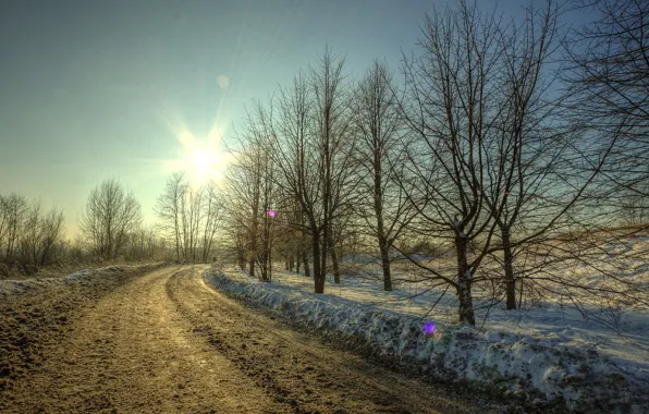 Картинка дорога, солнце, снег, деревья, Зима, грязь