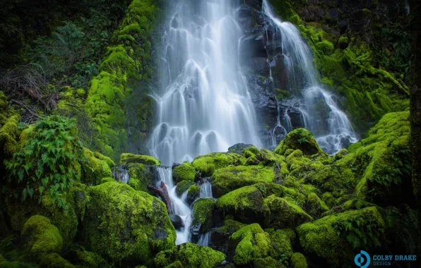 Картинка зелень, камни, водопад, мох, поток, Река Колумбия