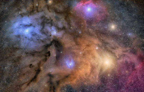 Картинка космос, пространство, звёзды, Молекулярное облако, Ро Змееносца