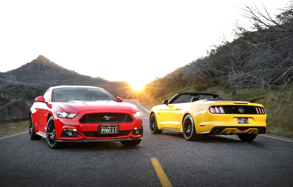 Картинка Mustang, Ford, мустанг, форд