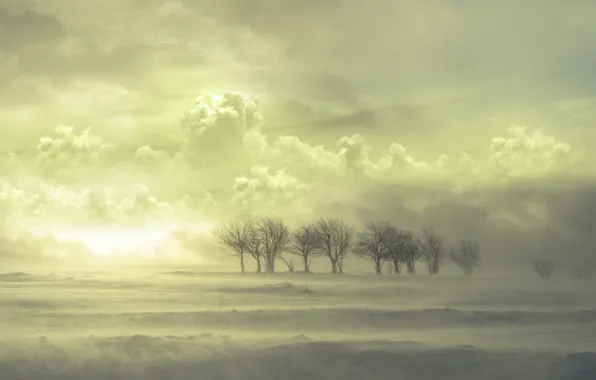 Картинка облака, снег, Деревья