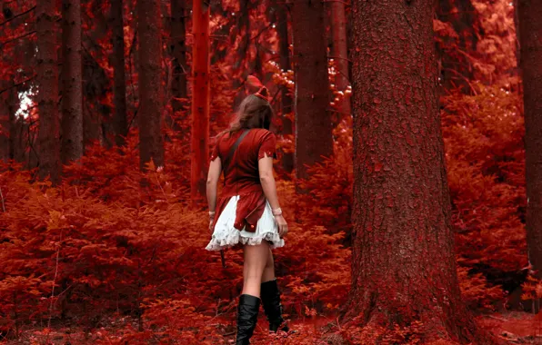Картинка девушка, красная, в красном, шапочка, красный лес