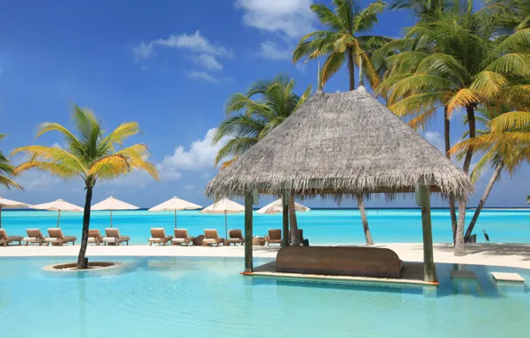 Картинка пальмы, океан, отдых, бассейн, relax, экзотика