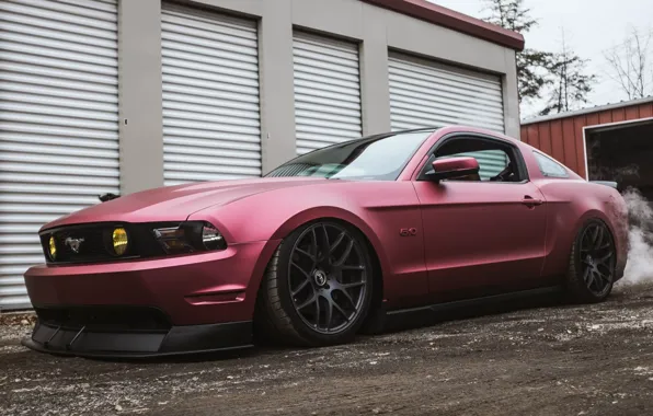 Картинка Mustang, Ford, 5.0