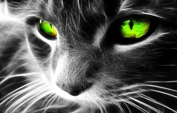 Картинка кошка, кошки, art, зеленные глаза