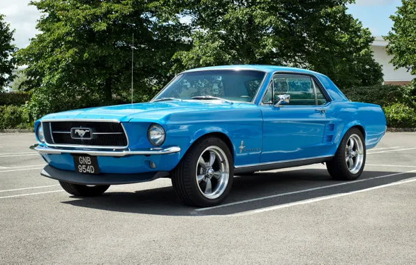 Картинка синий, Mustang, Ford, мускул кар, передок, Muscle car
