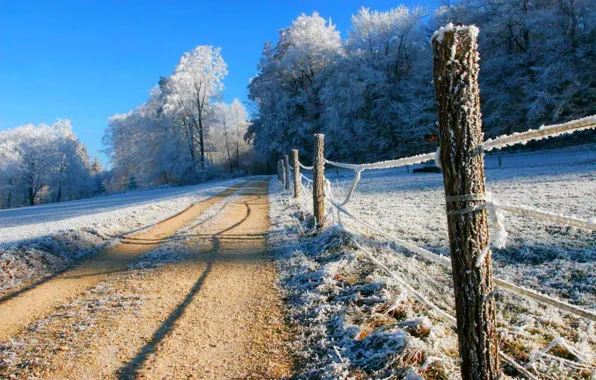 Картинка зима, дорога, лес, небо, снег, деревья, пейзаж, природа, white, forest, road, sky, trees, nature, beautiful, …