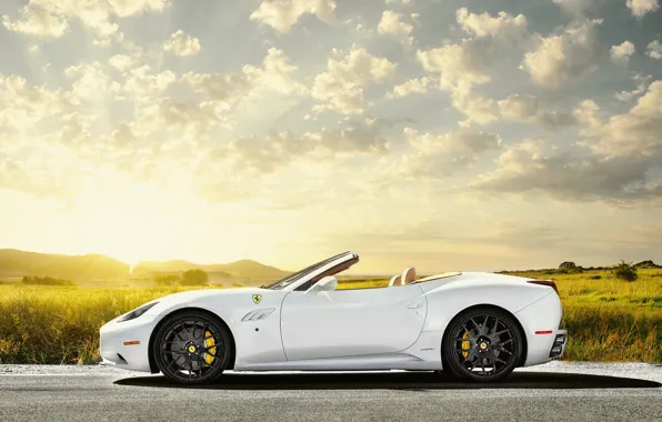 Картинка поле, небо, солнце, белая, Ferrari, white, феррари, блик, California, profile