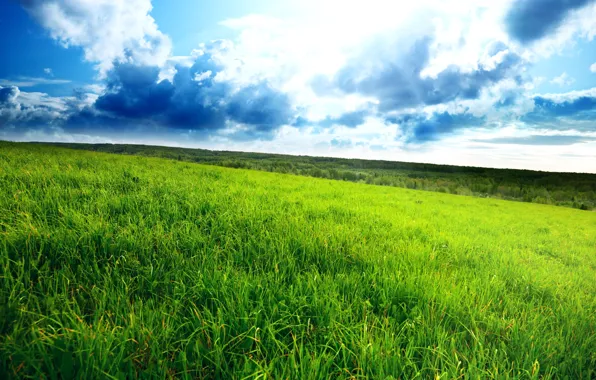 Картинка поле, трава, облака, пейзаж, горизонт, зелёное, green field, густая, cloudy sky