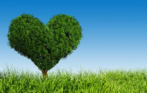 Картинка любовь, дерево, green, сердце, love, field, heart, tree