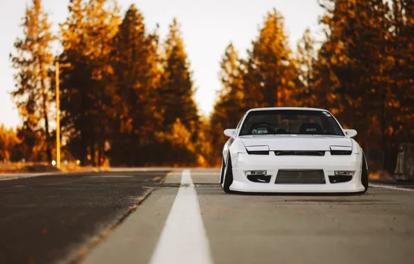 Картинка Nissan, Car, Nature, Front, Yellow, Stance, 240SX, Low