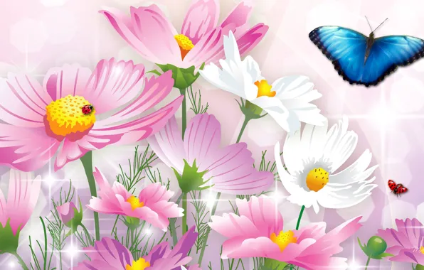 Картинка цветы, коллаж, бабочка, божья коровка, насекомое, открытка, космея
