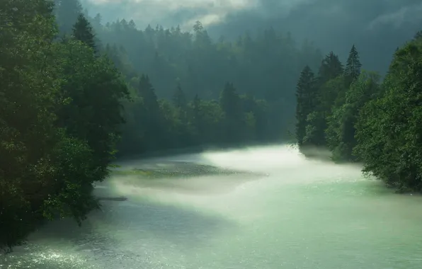 Картинка лес, река, дождь, Бавария, Берхтесгаден