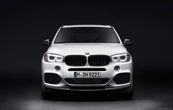 Картинка BMW, E70, X5