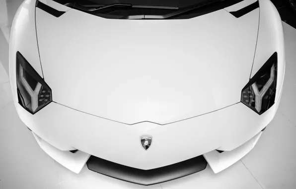 Картинка белый, фары, Lamborghini, суперкар, white, supercar, front, aventador, lp700-4, ламборгини, авентадор