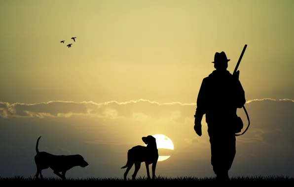 Картинка собаки, небо, закат, природа, две, утки, равнина, силуэт, охота, ружье, винтовка, охотник, rifle, wallpaper., beautiful …