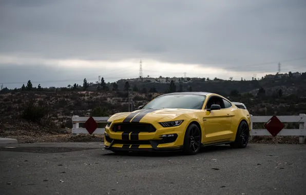 Картинка Mustang, Ford, Shelby, Yellow, GT350R, 2016