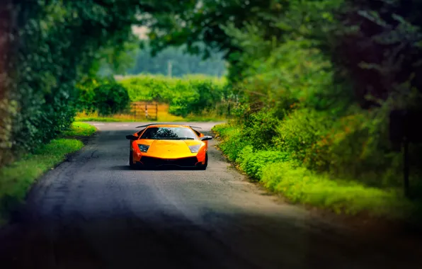 Картинка дорога, лето, Lamborghini, Murcielago