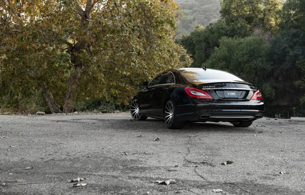 Картинка black, Mercedes Benz, мерседес, rear, CLS550