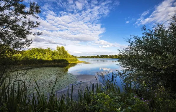 Картинка небо, облака, река, растительность, Англия, England, River Great Ouse, Кембриджшир, Cambridgeshire, река Грейт-Уз