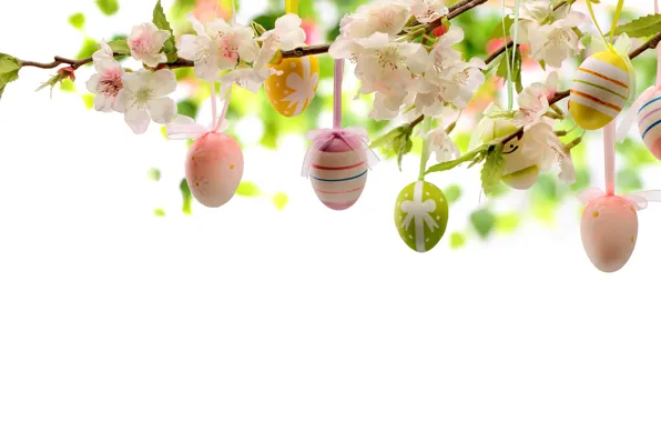 Картинка цветы, яйца, Пасха, flowers, Easter, eggs