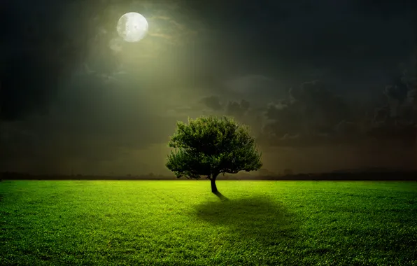 Картинка green, moon, grass, sky, field, night, clouds, tree, moonlight