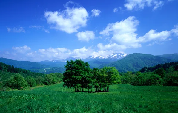 Картинка небо, трава, облака, деревья, горы, долина, луг