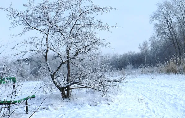 Картинка зима, иней, лес, снег, скамейка, forest, winter, snow, bench, frost, Winter day, Зимний день
