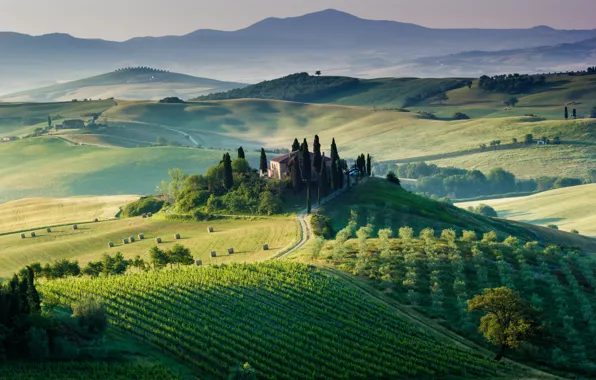 Картинка деревья, дом, поля, Италия, виноградники, Тоскана