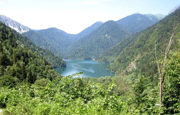 Картинка зелень, лето, вода, солнце, деревья, природа, озера, Абхазия, озеро Рица