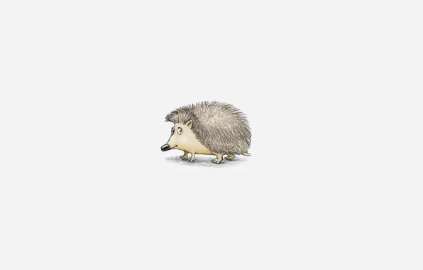 Картинка минимализм, белый фон, ежик, hedgehog