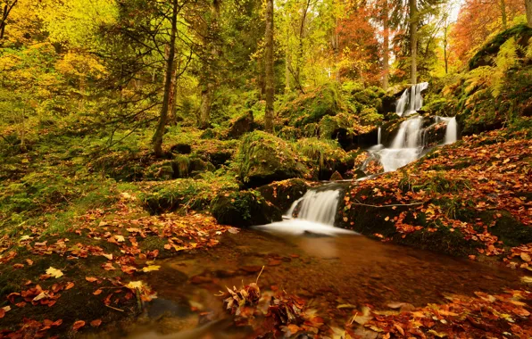 Картинка осень, лес, листья, деревья, Франция, водопад, каскад, France, Cascade de la Serva, Vosges Mountains, Neuviller-la-Roche, …