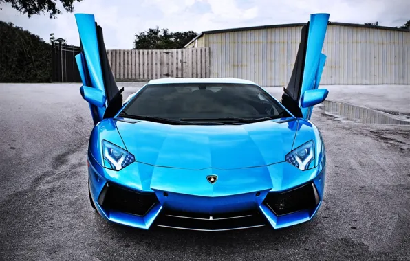 Картинка car, вверх, Lamborghini, двери, blue, LP700-4, Aventador, door