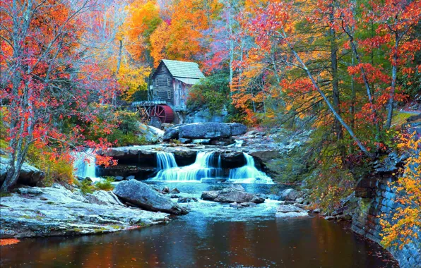 Картинка осень, лес, деревья, камни, водопад, домик, США, речка, Babcock State Park