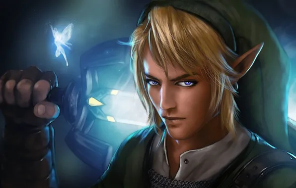 Картинка взгляд, эльф, меч, фея, парень, The Legend of Zelda, Link